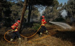 Fogo em Fornos de Algodres em fase de resolução