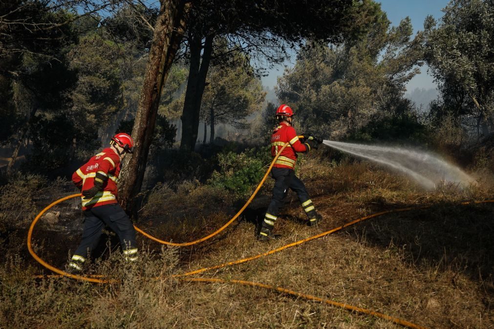 Fogo em Fornos de Algodres em fase de resolução