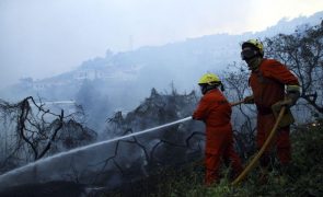 Fogo na Madeira continua a lavrar e meio aéreo já foi ativado