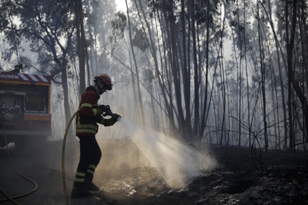 Dois fogos mobilizam 274 operacionais e 12 meios aéreos no distrito da Guarda