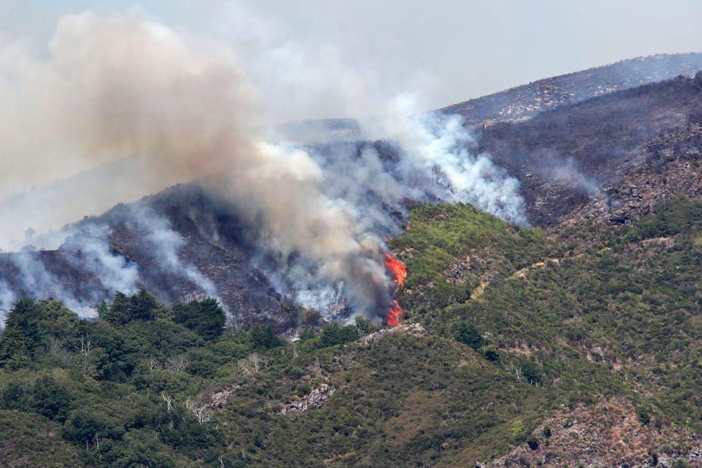 Governo da República ofereceu apoio para combate ao fogo na Madeira