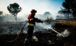 Grande parte do interior Norte e Centro e do Algarve em risco máximo de incêndio