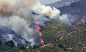 Agosto é já o mês com mais área ardida em 2024