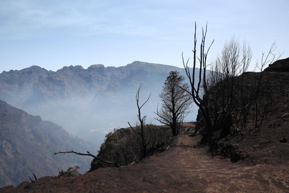 Focos de fogo ativos Ribeira Brava estão longe das habitações