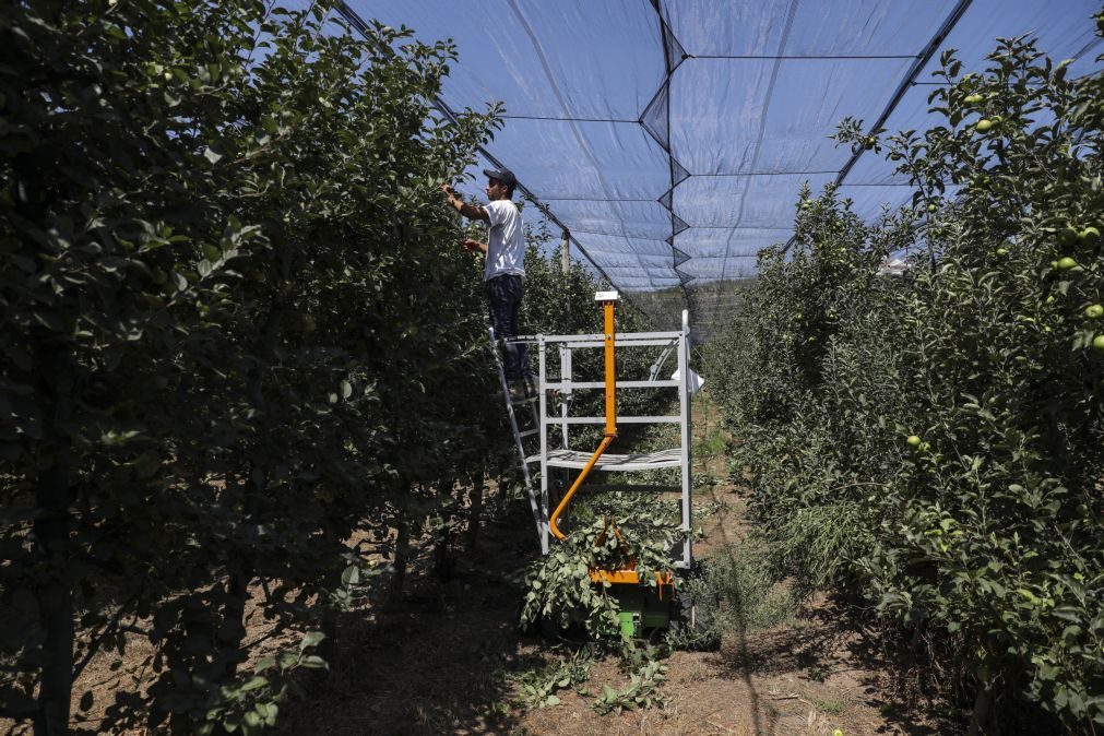 Trabalhadores estrangeiros em Portugal aumentam mas ainda há dificuldades