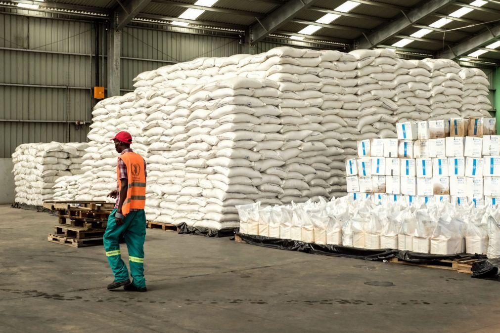 Programa Alimentar Mundial dá 2,4 mil toneladas de arroz para escolas na Guiné-Bissau