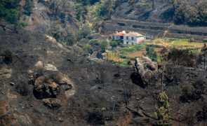 Ativados planos de emergência dos três concelhos afetados pelo fogo na Madeira