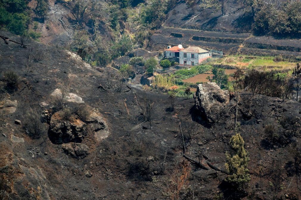 Ativados planos de emergência dos três concelhos afetados pelo fogo na Madeira