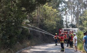 Meios concentrados na Serra de Água e Curral das Freiras às 17:00