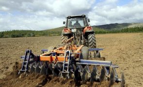 Agricultores vão contar com apoio excecional de 60 milhões em 2025