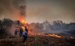 Centena e meia de bombeiros e três meios aéreos combatem fogo na Azambuja