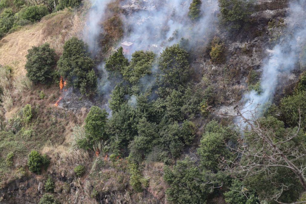 AGIF disponível para integrar Madeira no plano nacional de gestão de fogos