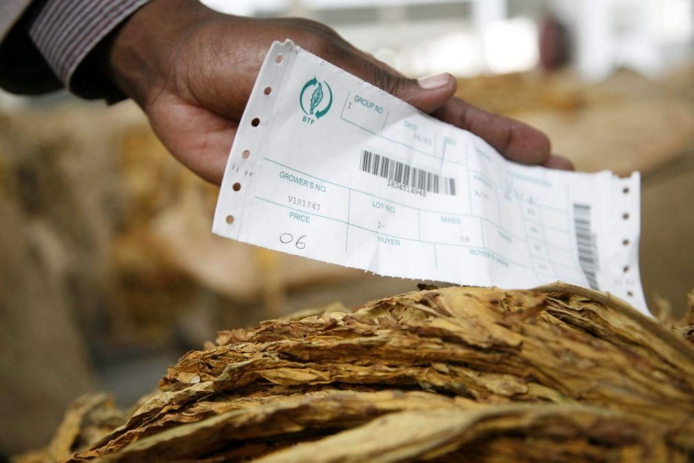 Produção da indústria de tabaco em Moçambique recuou mais de 70% em seis meses