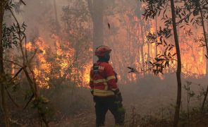 Incêndio com duas frentes ativas e 200 operacionais em Portalegre