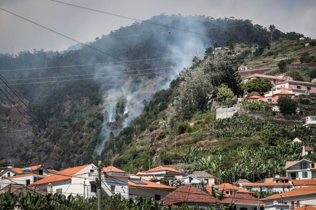 Cerca de 200 agricultores e 41 produtores de gado madeirenses apresentaram declarações de prejuízo