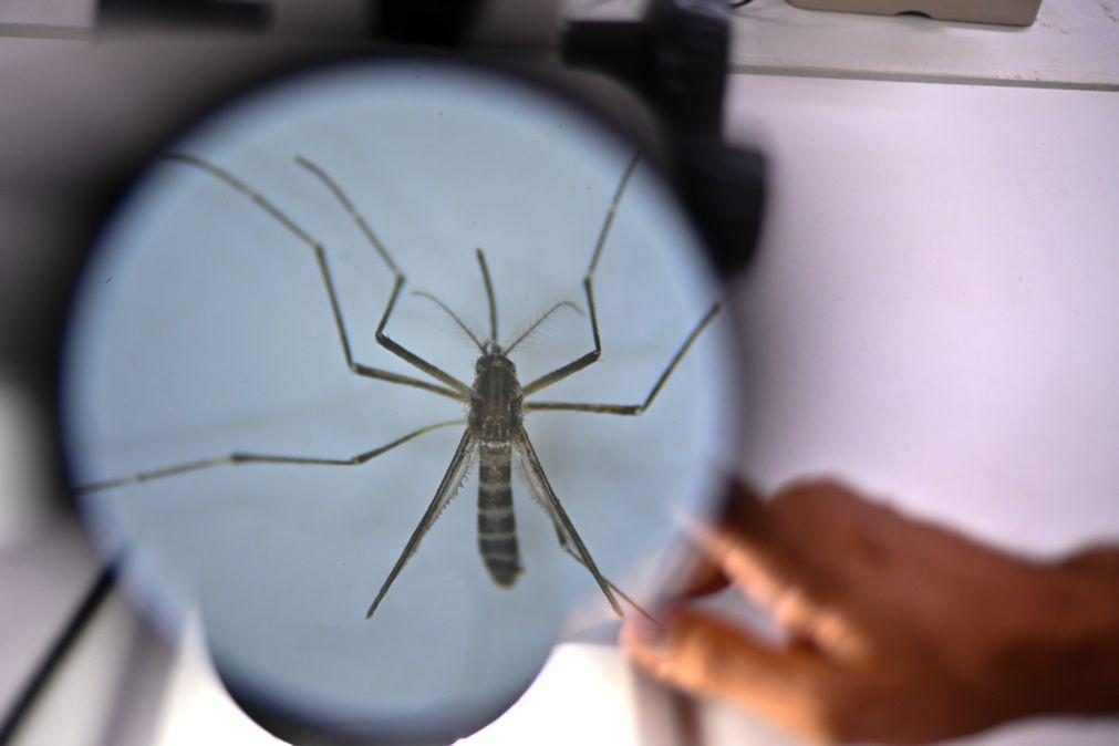 Brasil ultrapassa 6,5 milhões de casos prováveis de dengue este ano