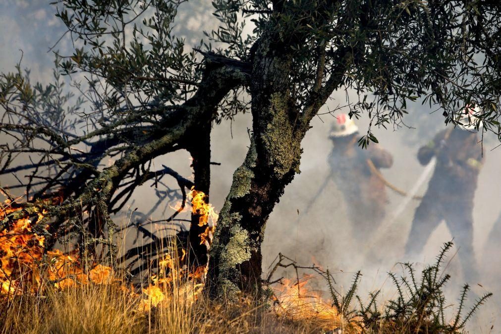 Três maiores Incêndios estão no Norte e evoluem favoravelmente