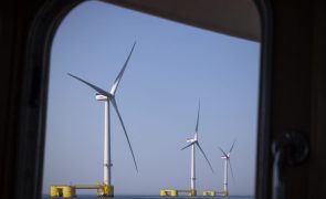 Projeto eólico 'offshore' WindFloat com produção acumulada de 320 GWh desde 2020