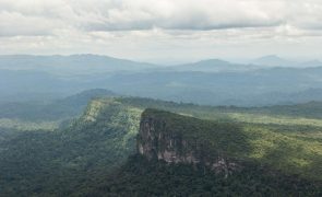 Brasil celebra Dia da Amazónia com pior seca em décadas e vários incêndios