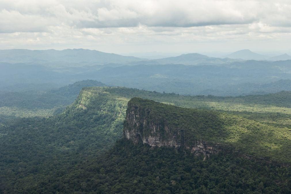 Brasil celebra Dia da Amazónia com pior seca em décadas e vários incêndios