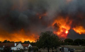 Dois grupos de bombeiros de Lisboa reforçam dispositivo no incêndio na península de Setúbal