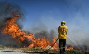 Fogo no Fundão mobiliza mais de 200 operacionais às 15:30