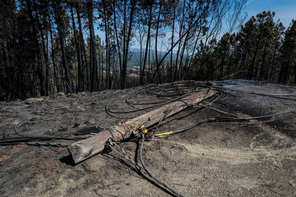 Proteção civil pede cuidado devido a meteorologia favorável a fogos nos próximos dias