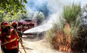 Incêndios de Silvares, Aguiar da Beira e Pombal os mais preocupantes às 13:00