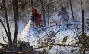 Mais de 360 operacionais combatem fogos na Caranguejeira e em Oliveira de Azeméis