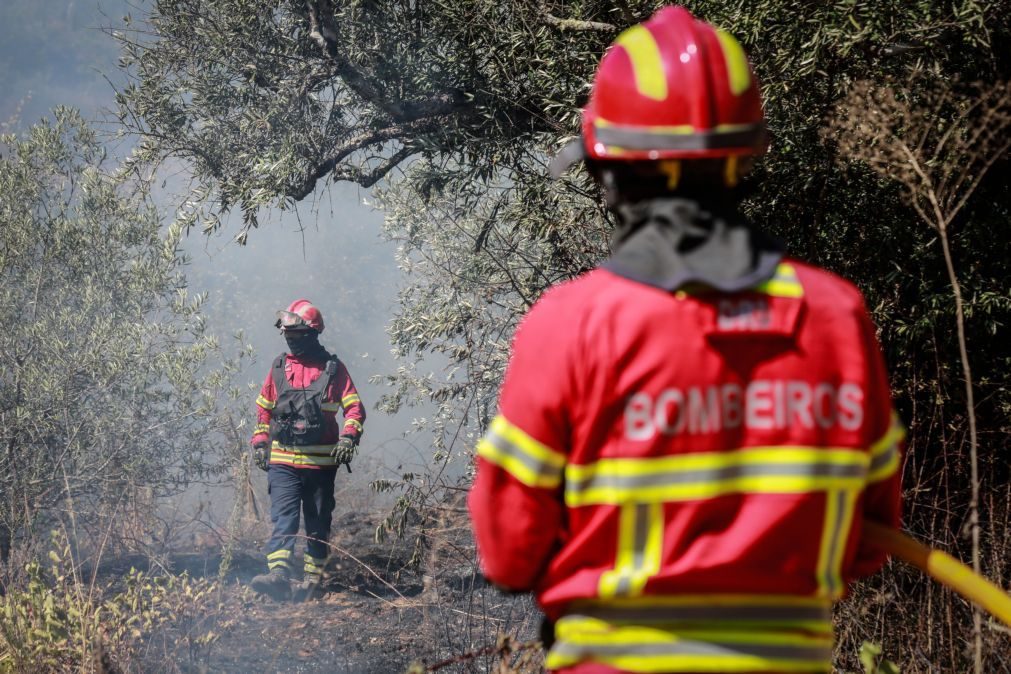 Mais de 90 concelhos de dez distritos do continente em perigo máximo de incêndio