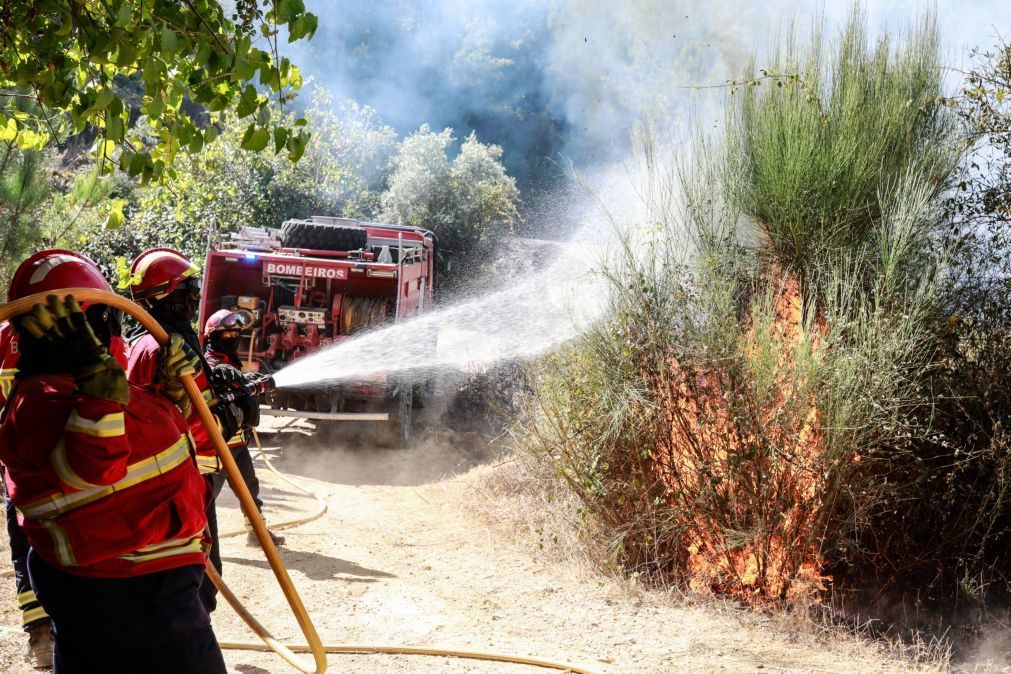 Proteção Civil à espera da luz do dia para usar meios aéreos em três incêndios