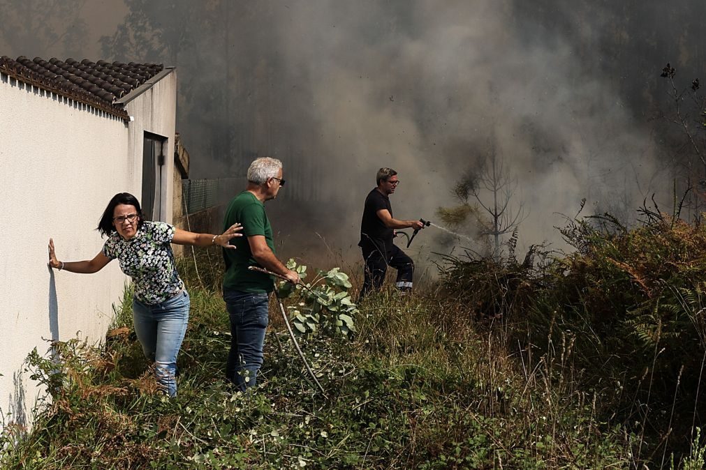 IPMA prevê agravamento do perigo de fogos rurais até quarta-feira