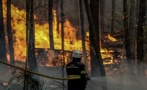 Duas aldeias de Penalva do Castelo ameaçadas pelas chamas