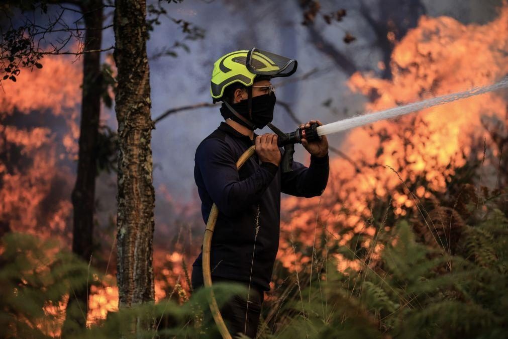 Cinco fogos no distrito de Aveiro mobilizam mais de 1.200 operacionais