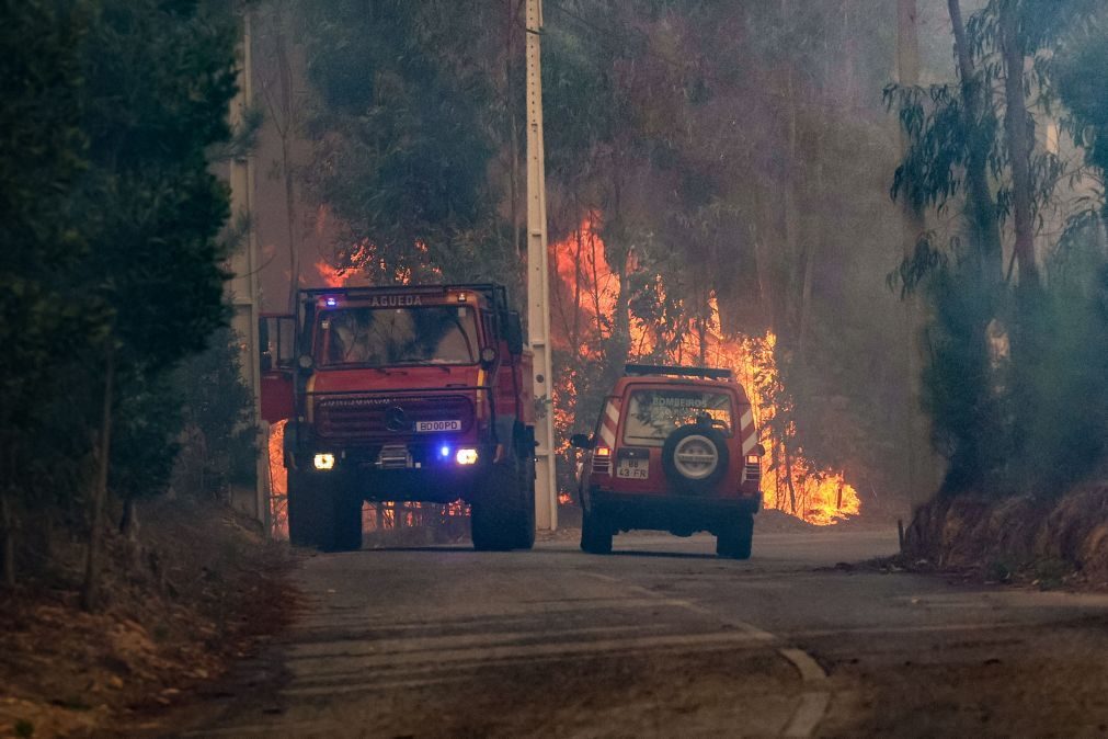 IC12 e estradas nacionais 231 e 329 cortadas na região de Viseu devido aos incêndios