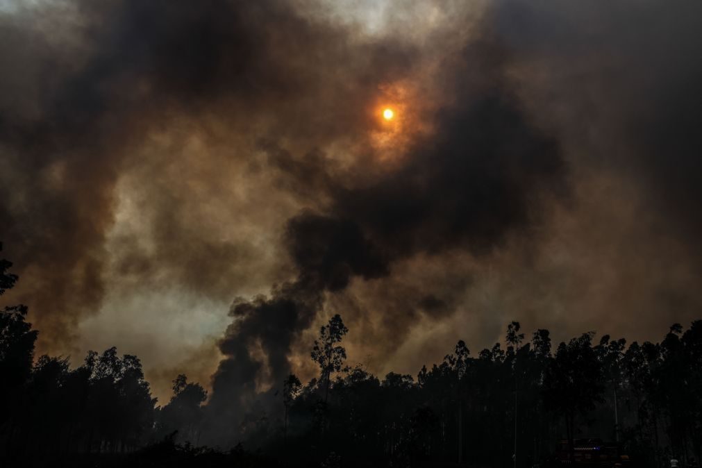 Autoestrada 13 em Coimbra cortada ao trânsito devido a Incêndio