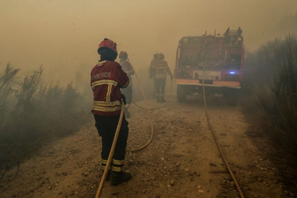 Mais de 5 mil operacionais e 21 meios aéreos em combate aos incêndios