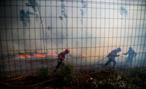 Fogos no distrito de Aveiro com perímetro de 100 quilómetros