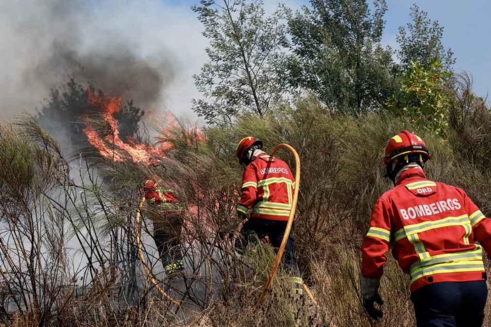 Mais de 5.300 bombeiros envolvidos no combate aos incêndios em todo o país