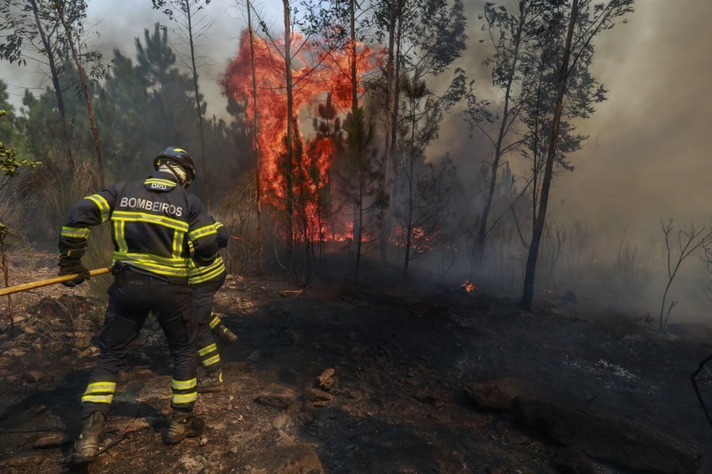 Incêndios causam 7 mortos, casas destruídas e vias cortadas no Centro e Norte