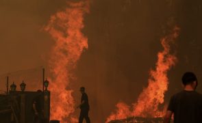 Mais de 62 mil hectares arderam em Portugal continental desde domingo