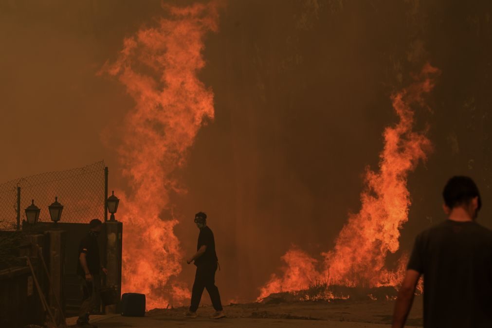 Mais de 62 mil hectares arderam em Portugal continental desde domingo