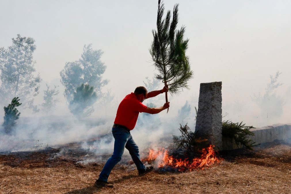 Sete mortos e 62 deslocados em 25 concelhos afetados pelos fogos.