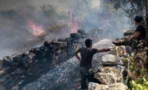 Empresas agrícolas e casas destruídas pelo fogo em Mangualde