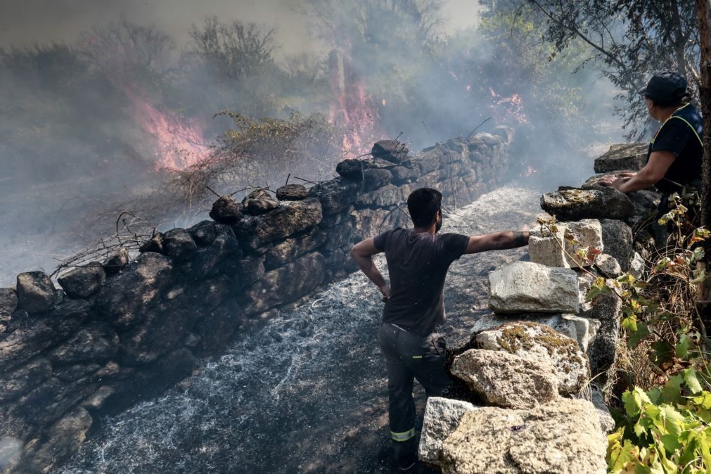 Empresas agrícolas e casas destruídas pelo fogo em Mangualde