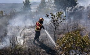 Fogo dominado no concelho de Tábua às 11:10