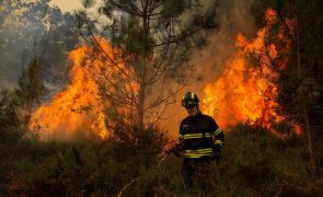 Proteção Civil contabiliza cinco mortos e 118 feridos nos incêndios até ao momento