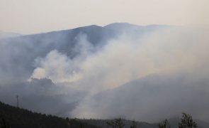 Mais de 106 mil hectares arderam em Portugal continental desde domingo