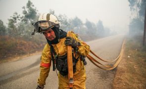 Incêndio em Águeda 