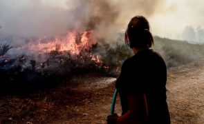 Incêndio 80% dominado em Penalva e casas protegidas em Mangualde